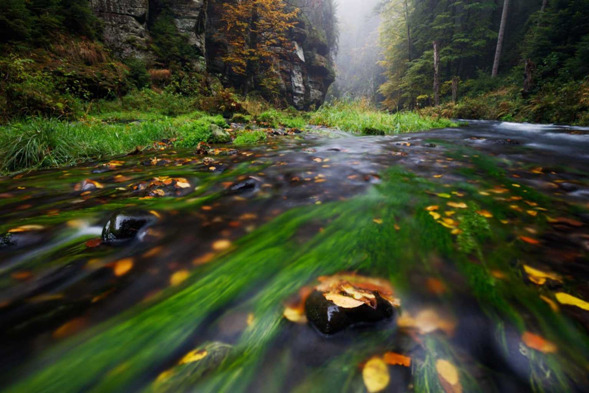Edmunds - und Wilde Klamm