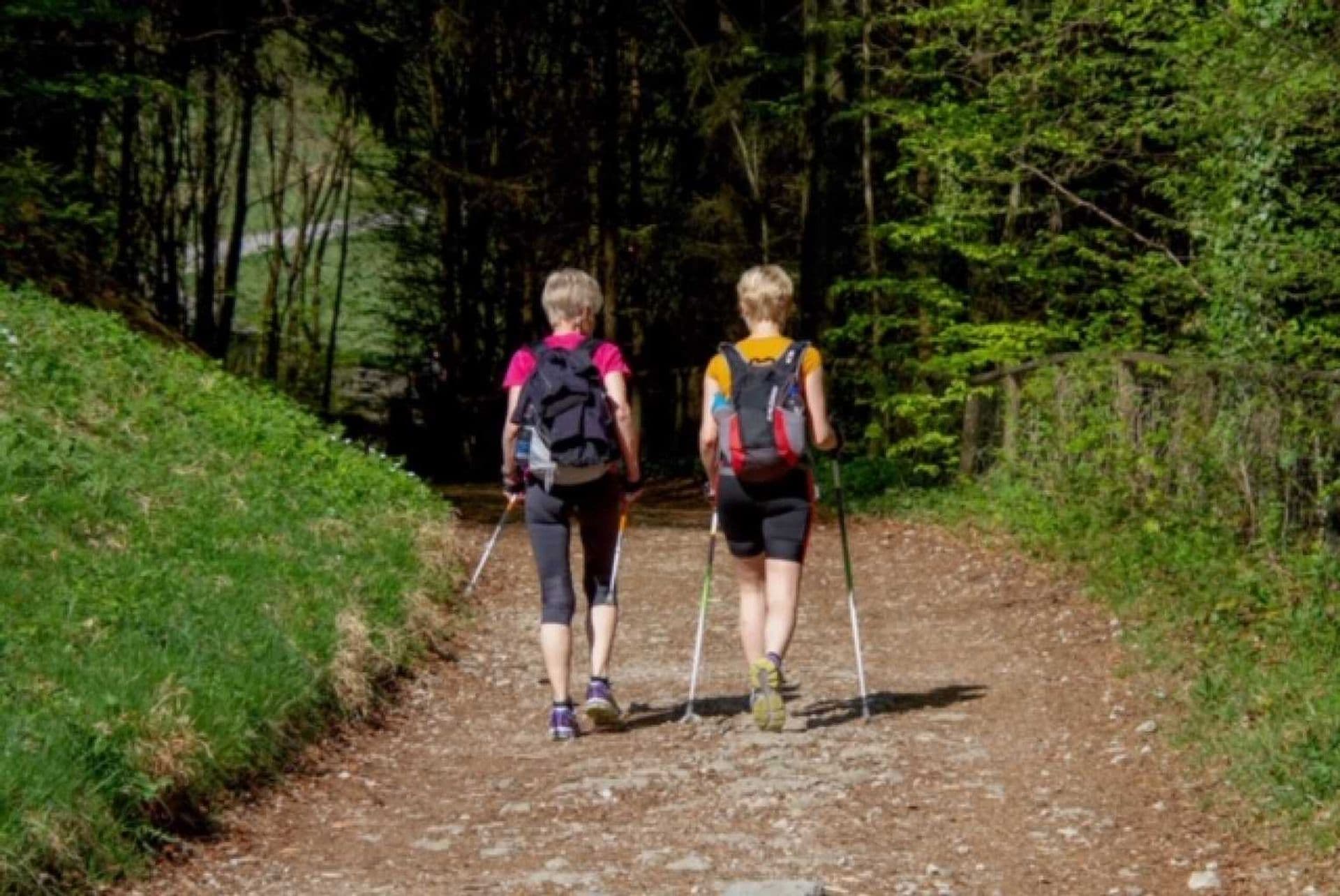 Nordic walking & running