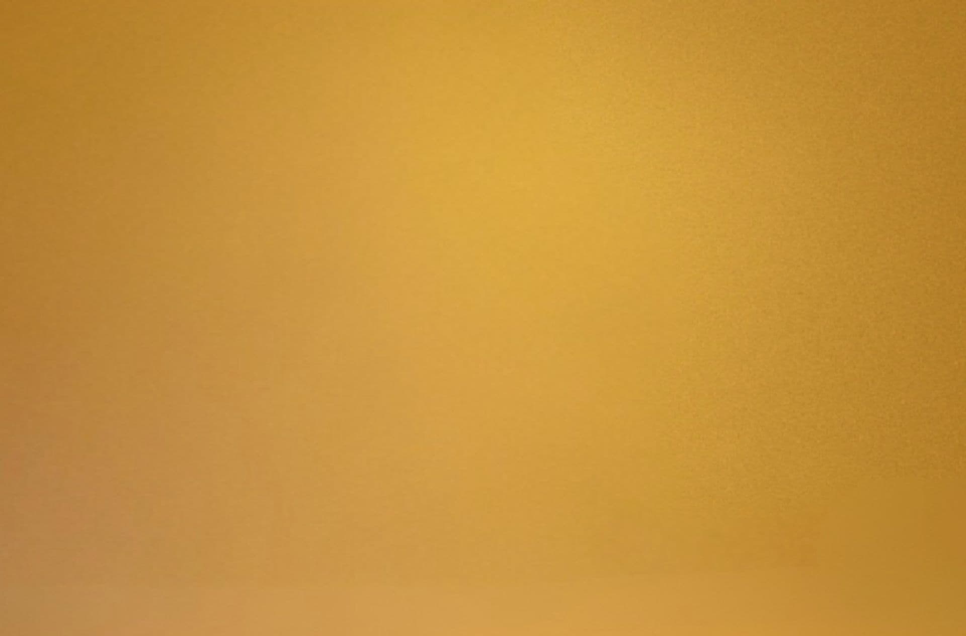 Opening Ball of the Statutory City of Decin