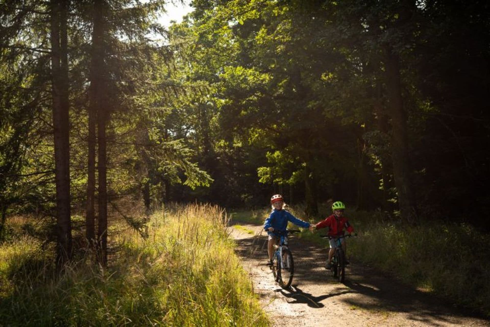 Cycling to Königstein with children
