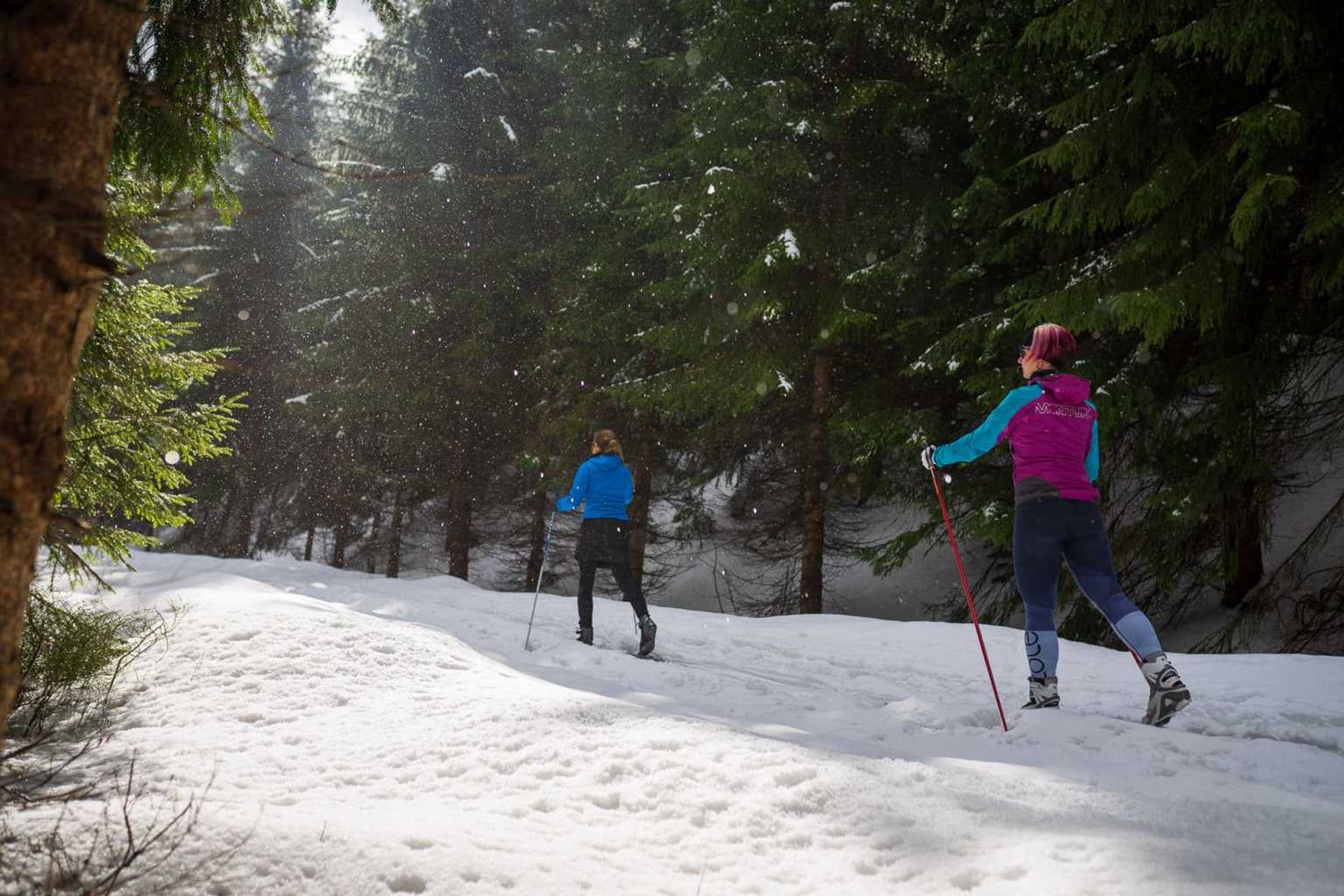 Cross-country, downhill skiing and ski touring
